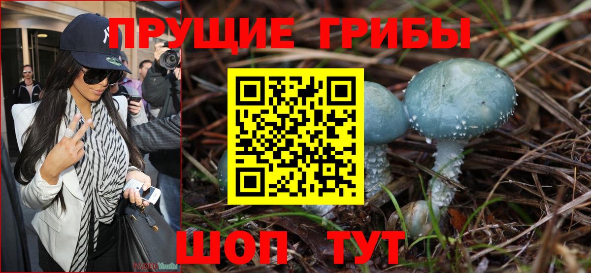 Псилоцибиновые грибы GOLDEN TEACHER Кимры