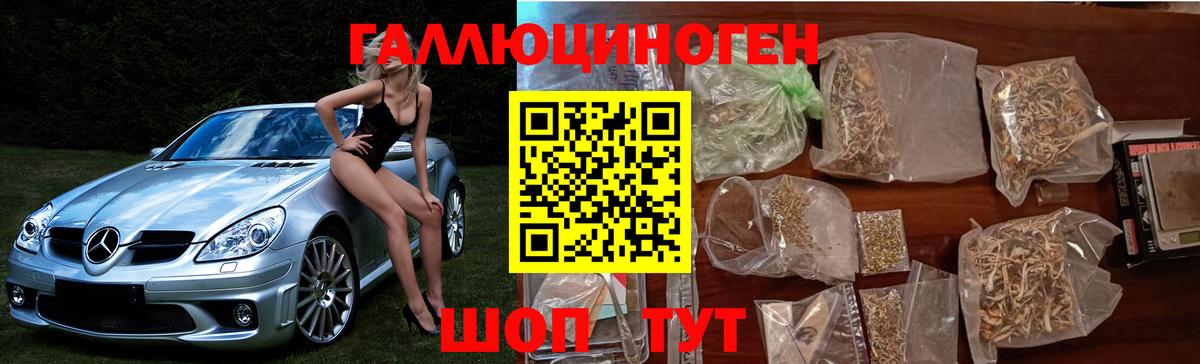 Галлюциногенные грибы MAGIC MUSHROOMS  Псилоцибиновые грибы Magic Shrooms  Вход с VPN  Кимры 